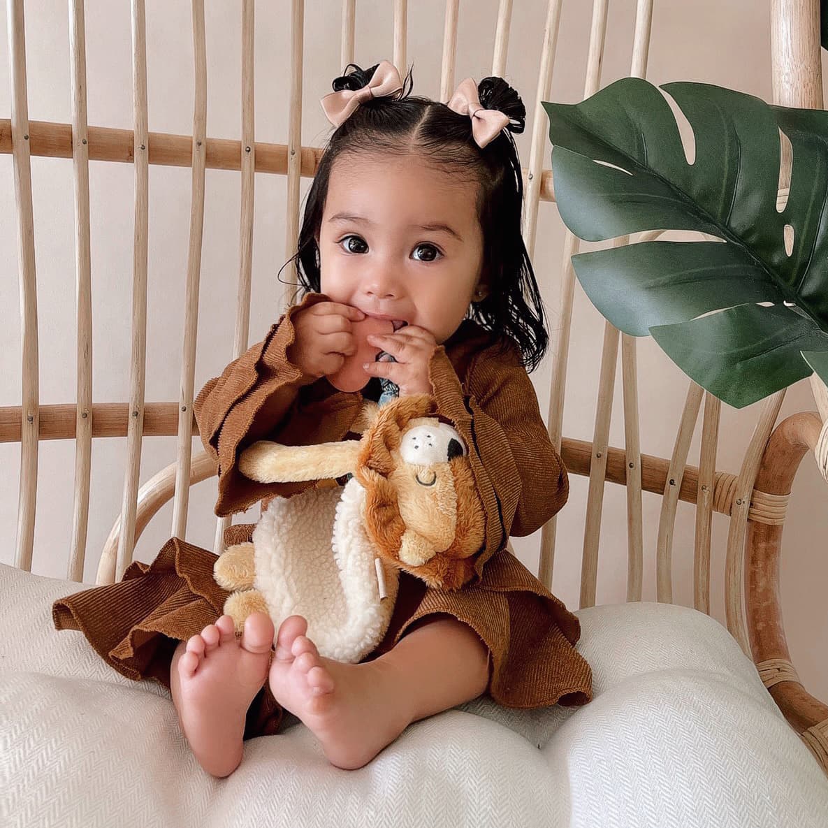 Lion Lovey