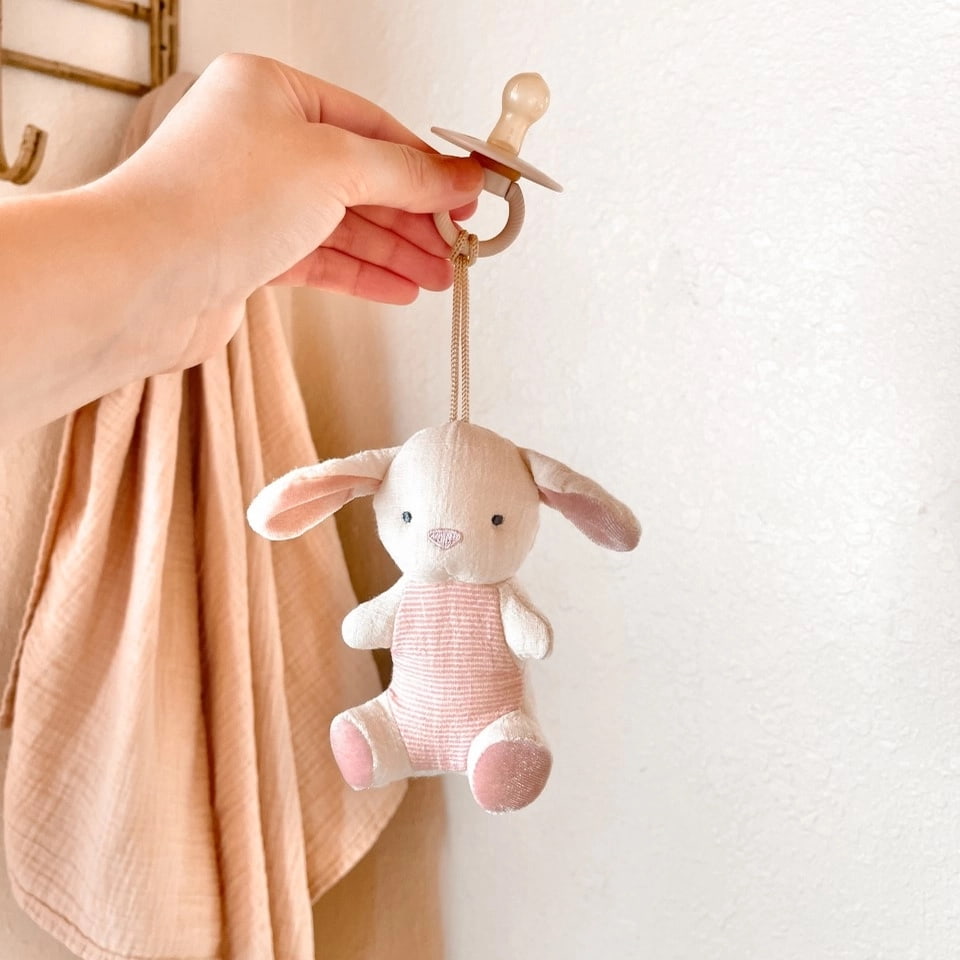Bunny Rubber Pacifier & Plush