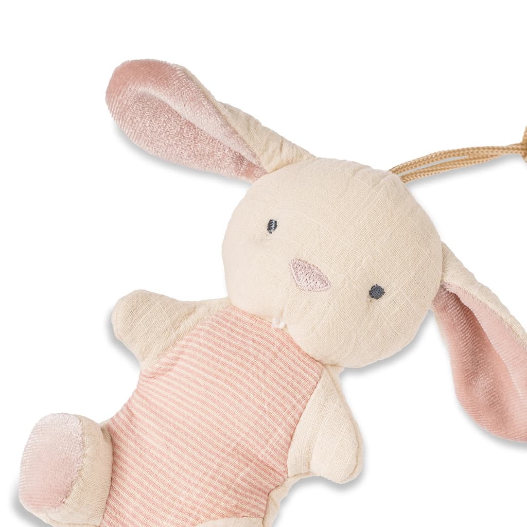 Bunny Rubber Pacifier & Plush