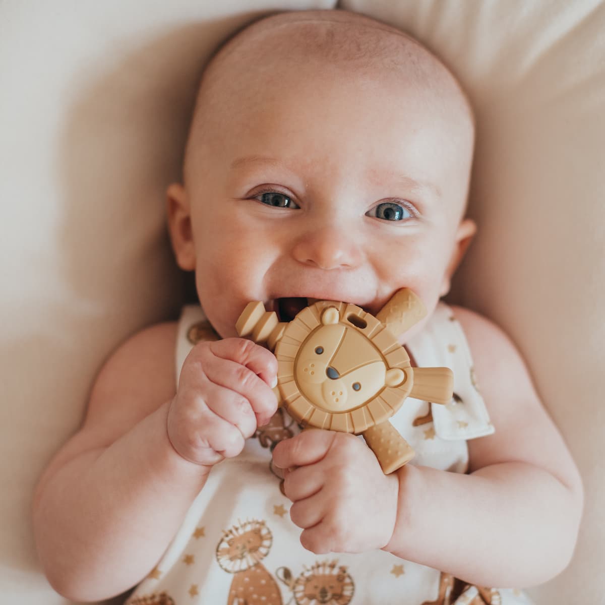 lion baby teether