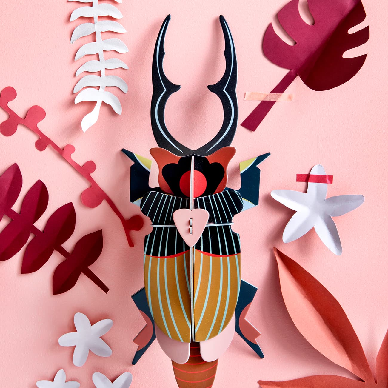 Giant Stag Beetle