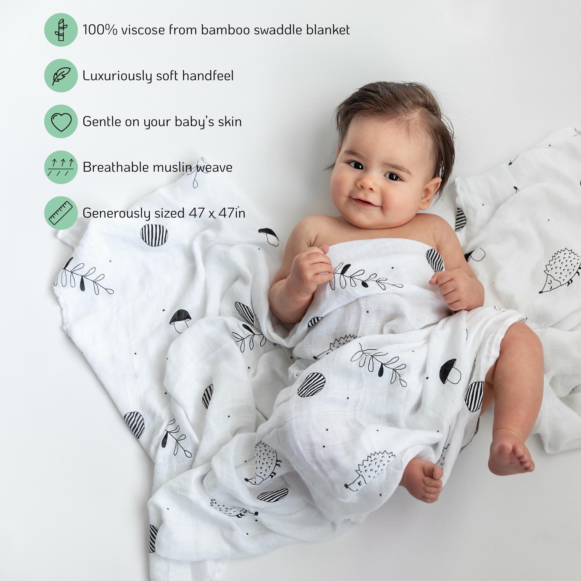 The Little Hedgehog Limited Edition Bundle