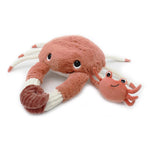 Crab and Baby