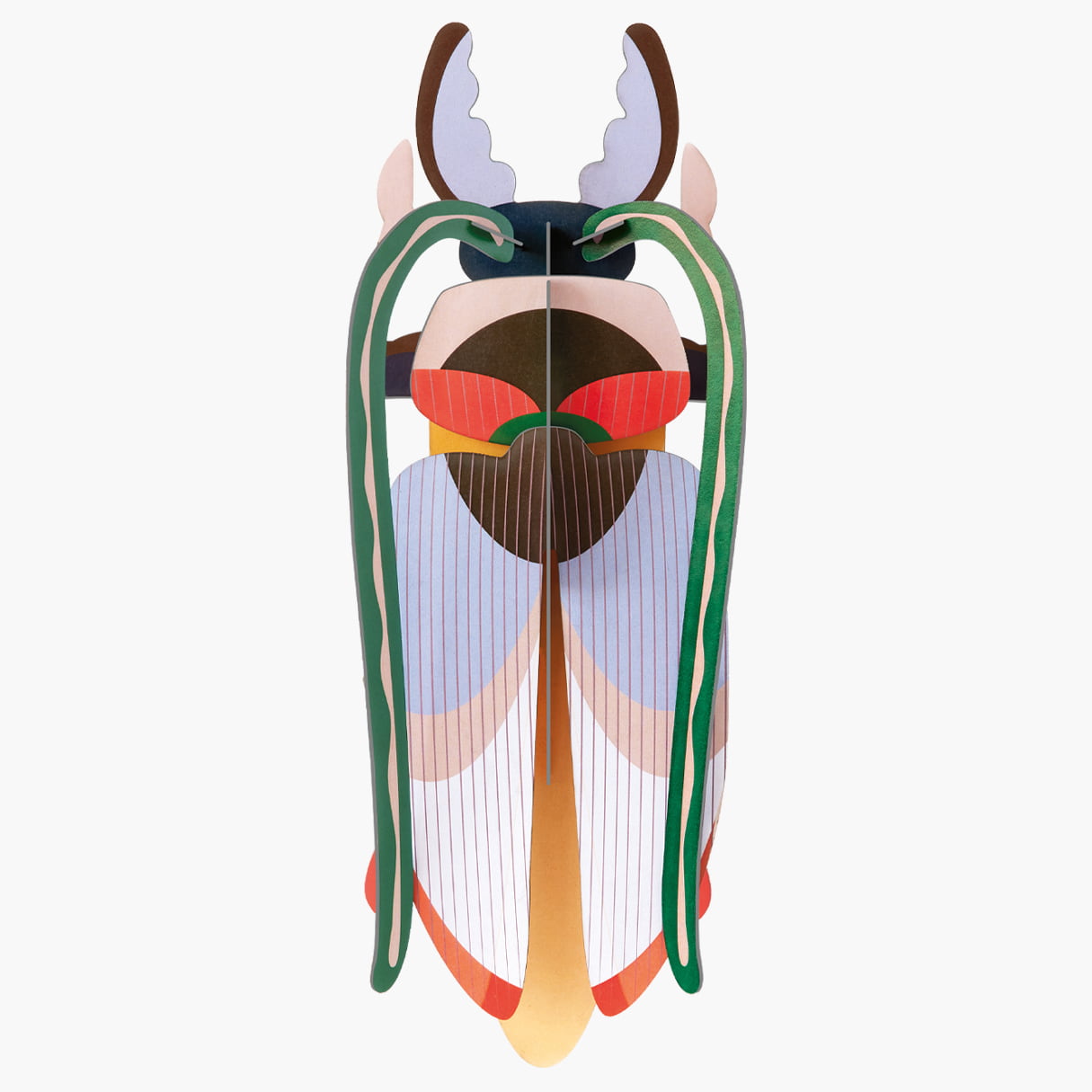 Cosmos Beetle