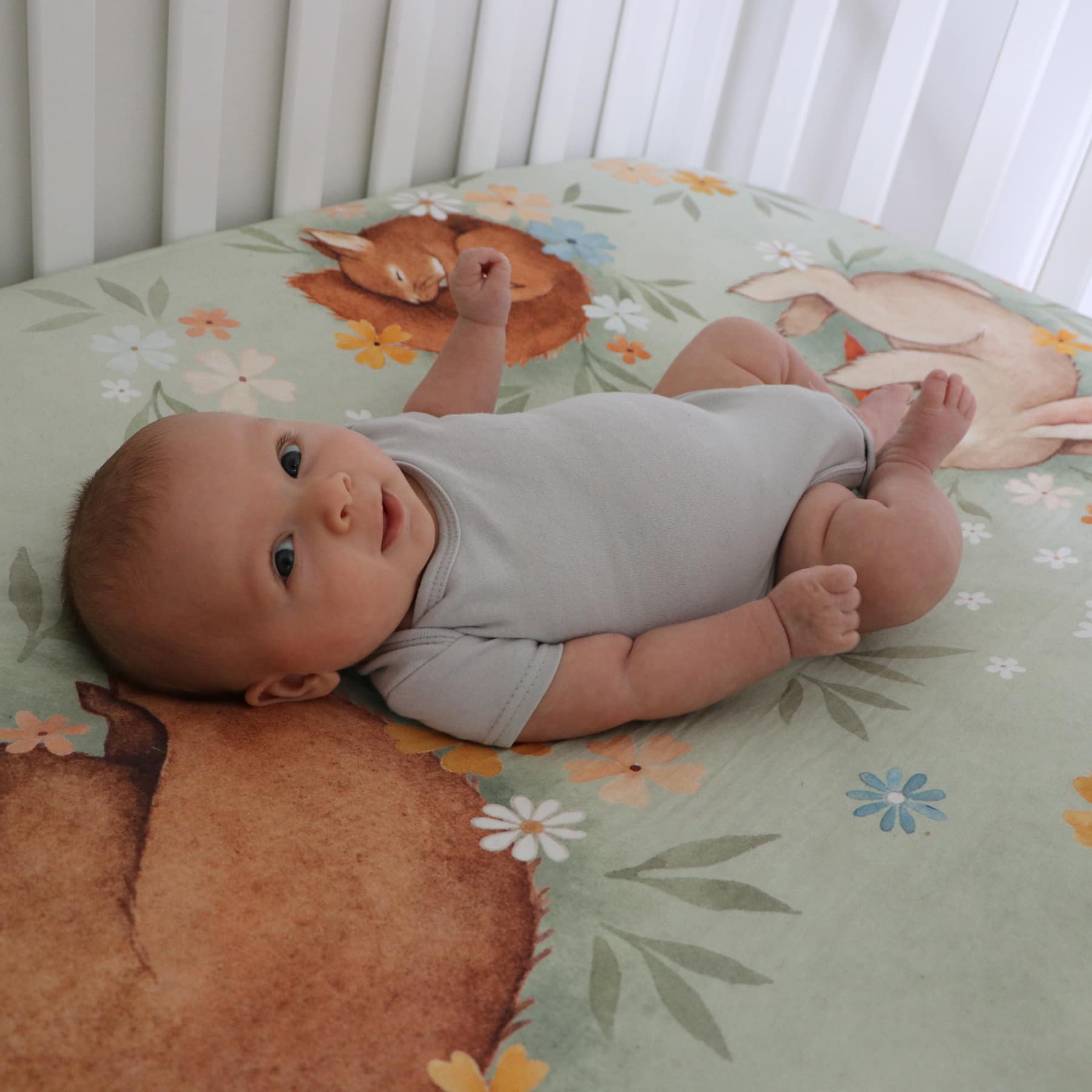 Rookie humans crib sheets cheap