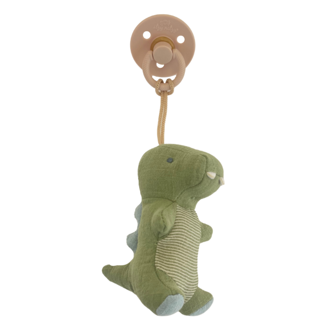 Dinosaur Rubber Pacifier & Stuffed Animal